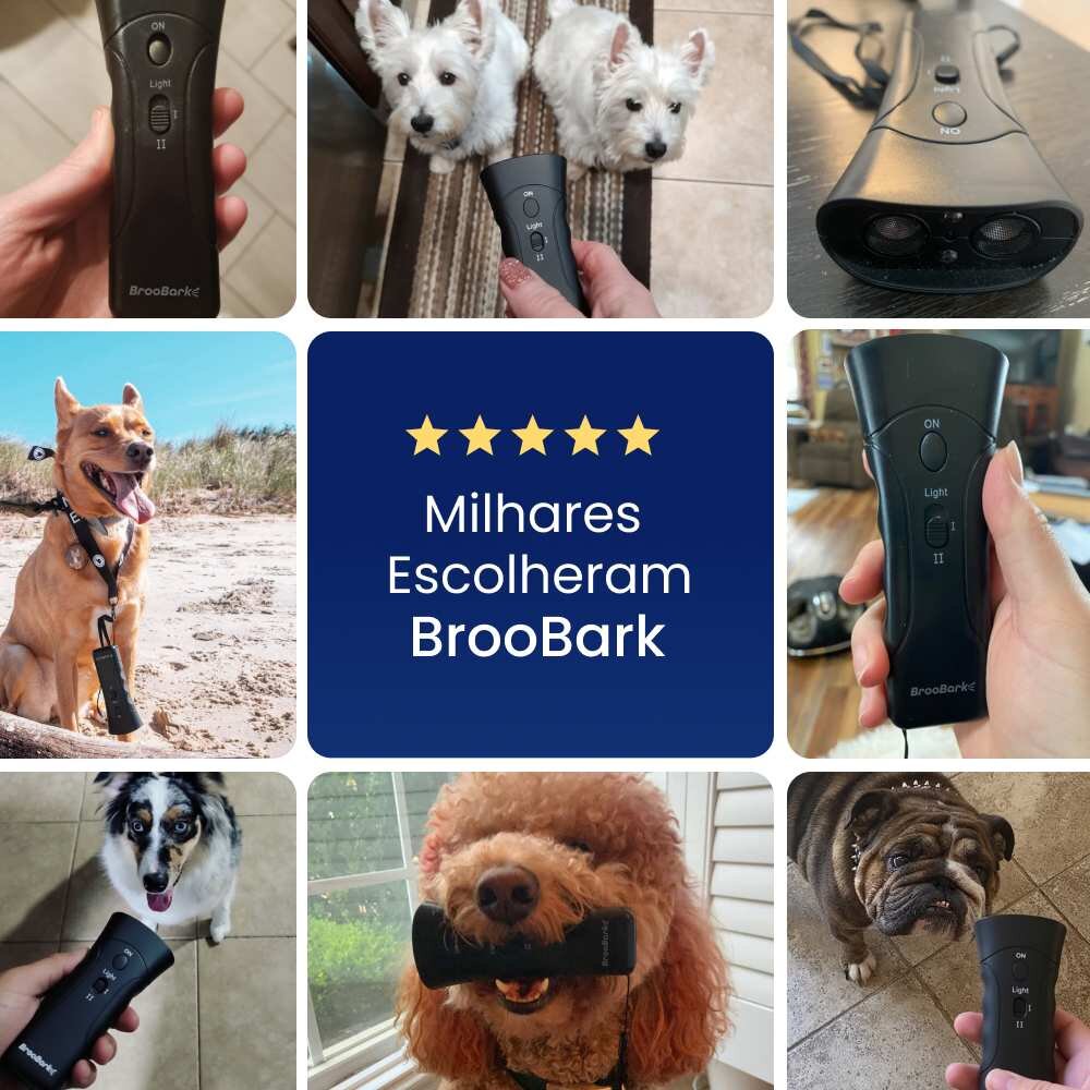 NooBark image