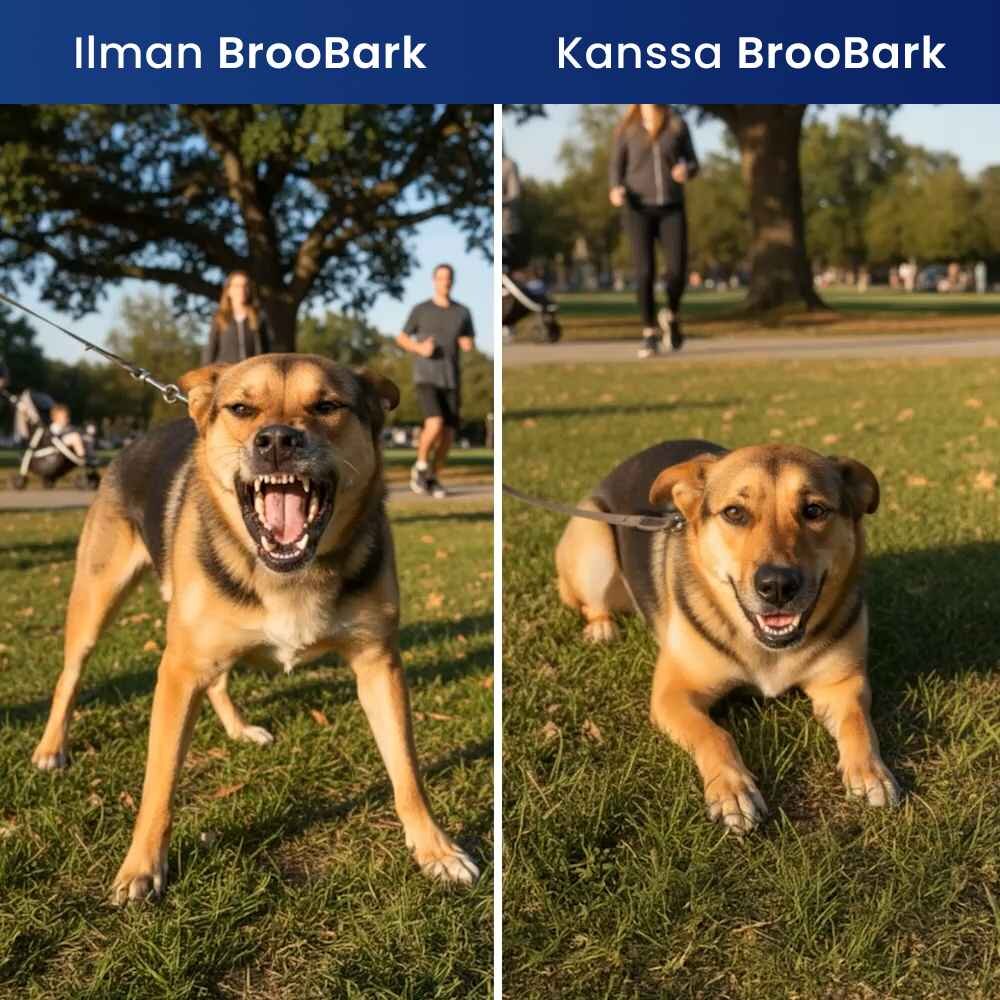 NooBark image