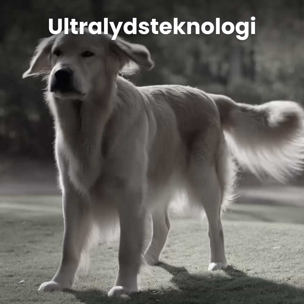 NooBark image